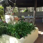 Degli Olivi