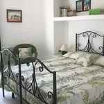 Degli Olivi *