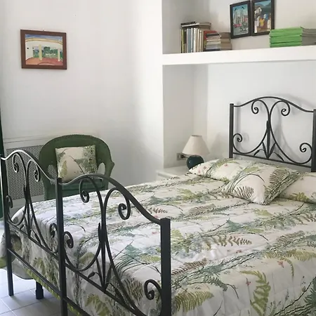 Degli Olivi *