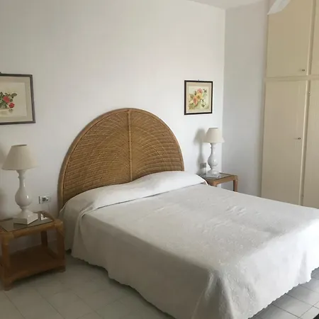Degli Olivi