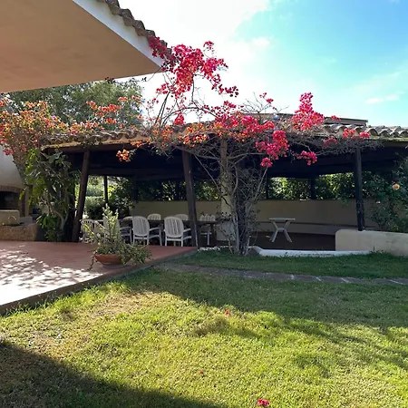 Hébergement de vacances Degli Olivi