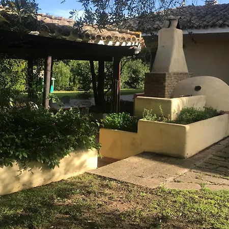 Degli Olivi